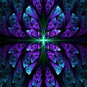 Meet your Posher, Elisha